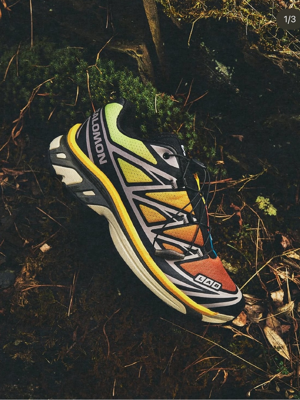 SALOMON XT6